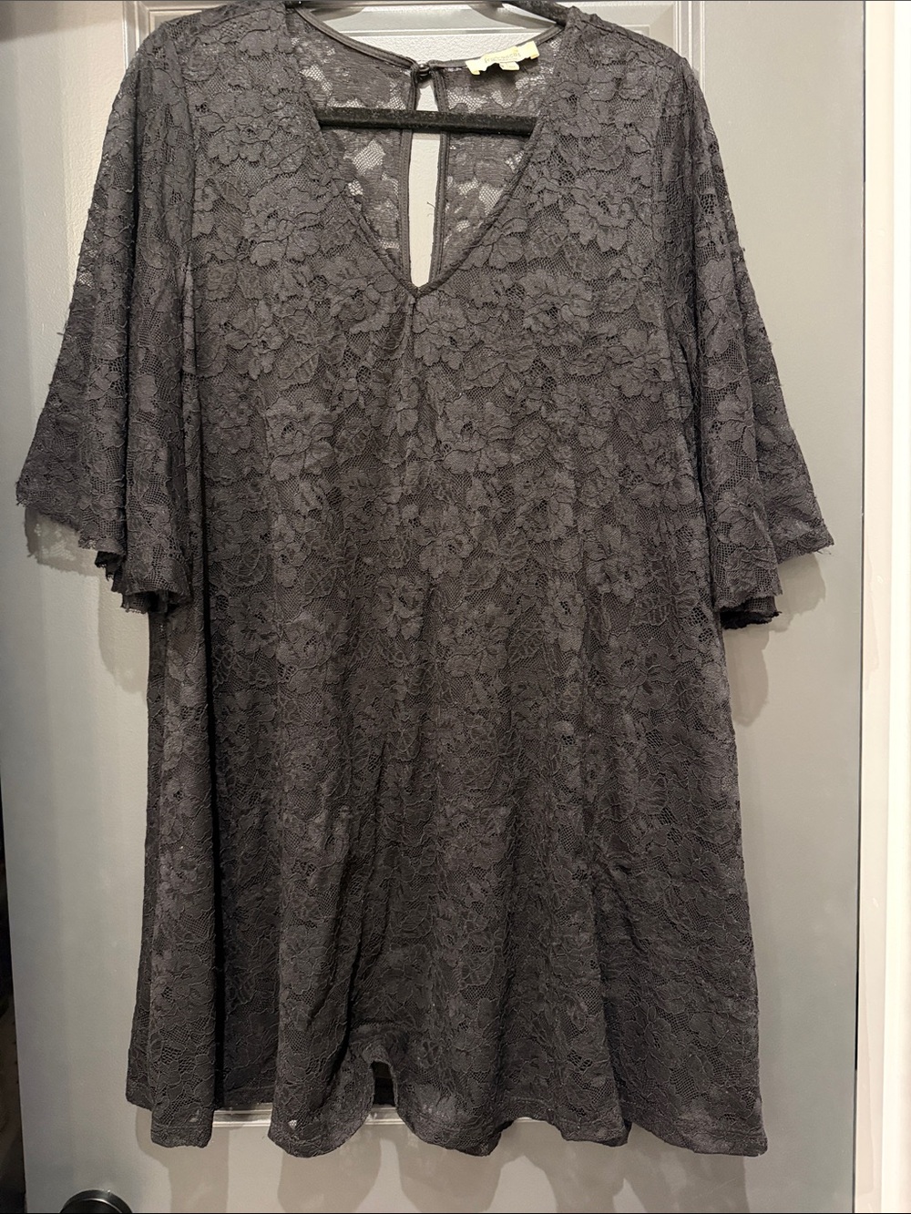 Francesca’s Women's Lace V-Neck Swing dress